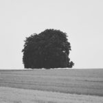 Das Vielfache von Entsetzen