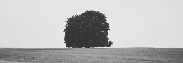 Das Vielfache von Entsetzen