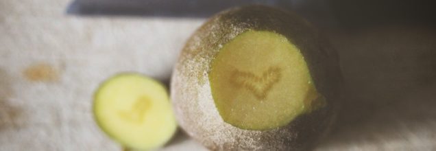 Was ist Liebe?