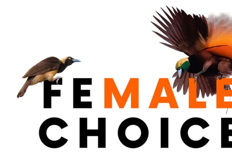 Female Choice