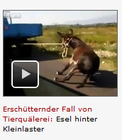 spon_screenshot